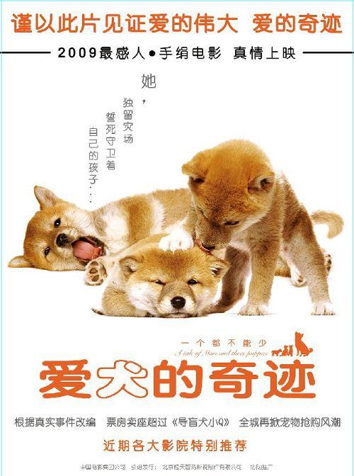 一只狗和两个小孩日本电影？(爱犬的奇迹 哪里可以看)-图1