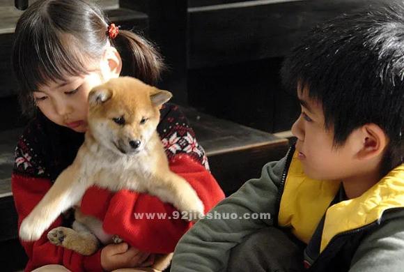 一只狗和两个小孩日本电影？(爱犬的奇迹 哪里可以看)-图3