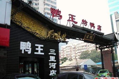 上海杨浦区有什么比较好的饭店？(鸭王之王哪里可以看)