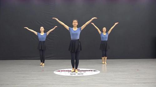 适合学生跳的舞蹈零基础特别简单(在哪里学舞蹈视频)
