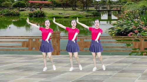 广场舞有哪些经典舞步？2018年昆明哪里有广场舞比赛视频-图3