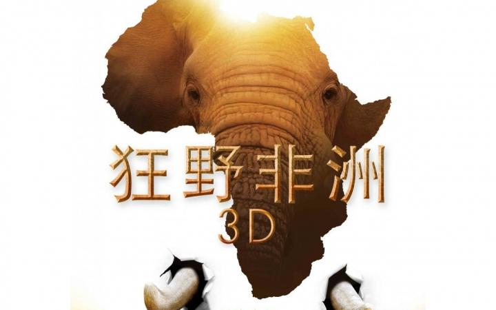 电影狂野非洲高清完整版地址哪里有？狂野非洲3d版蓝光影碟哪里有售-图3