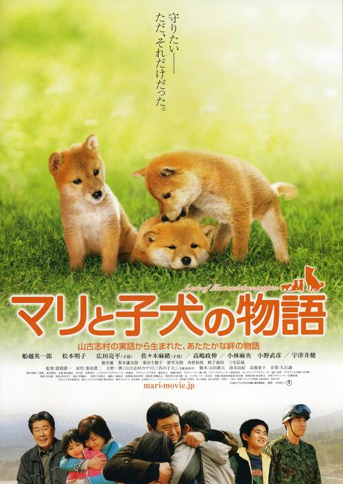 由日本柴犬主演的电影。除了心动奇迹与狗狗心事。谢谢？柴犬奇迹物语哪里看