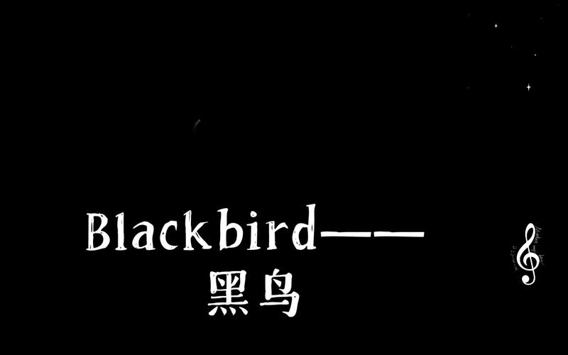 blackbird原唱是谁？黑鸟你在哪里歌词解析-图2