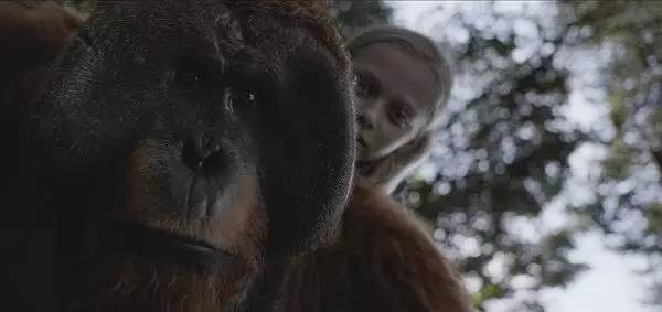 2001年拍的电影《人猿星球》里面人类的女主角叫什么？猿类崛起免费在哪里看到