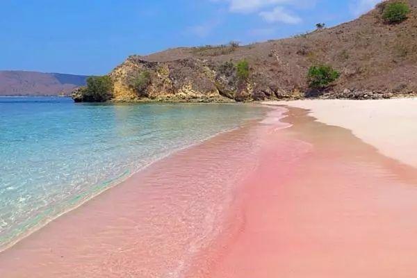 黄岛哪里有观赏荷花的地点？青岛粉色沙滩在哪里-图3