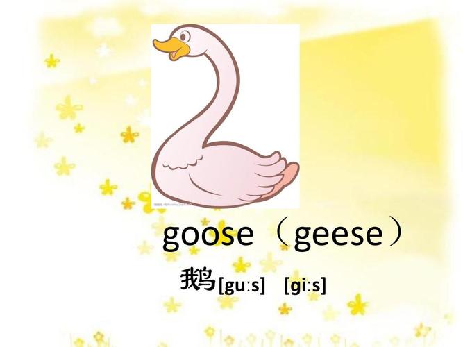 goose单词来源？上海哪里有鹅夫人