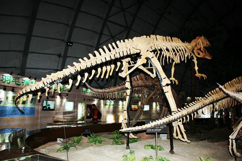 辽宁古生物博物馆有几只恐龙？辽宁哪里有恐龙化石-图1