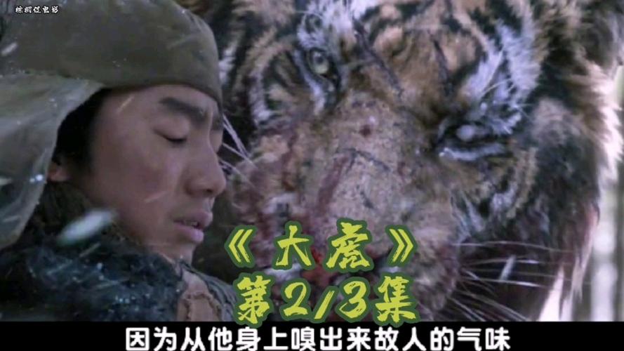 有一部电影一只老虎杀了一群军人？哪里可以看大虎电影