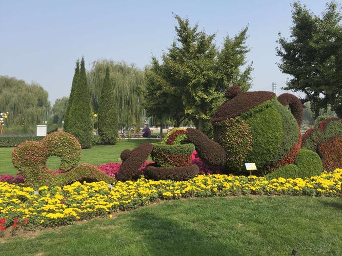 北京世界花卉大观园好不好玩？电脑哪里可以看花游记-图2