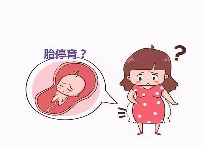 为什么会停胎？怀孕为什么会停胎呢