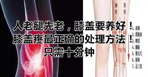 腿部筋脉疼痛，脚踝肿，大小腿经络疼，膝盖也痛，怎么办？膝盖疼为什么小腿肿呢