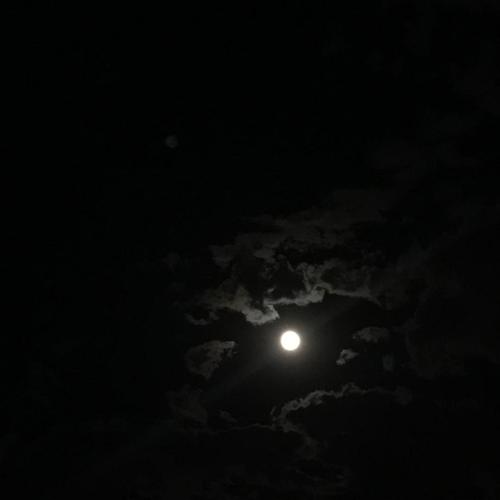 为什么今晚的月色很美？为什么今晚呢