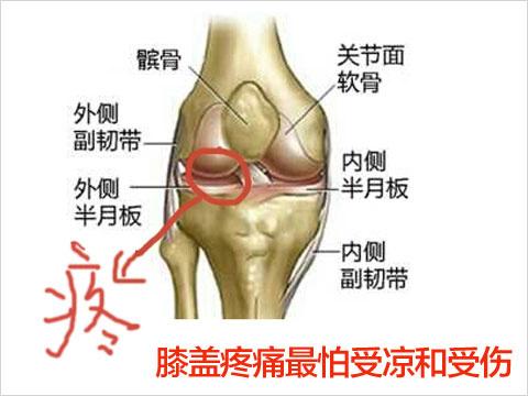 老人腿膝盖骨质增生，肿了，怎么办好？为什么会膝盖增生呢呢-图3