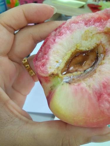 为什么桃子经常生虫子？为什么桃子会生虫呢呢