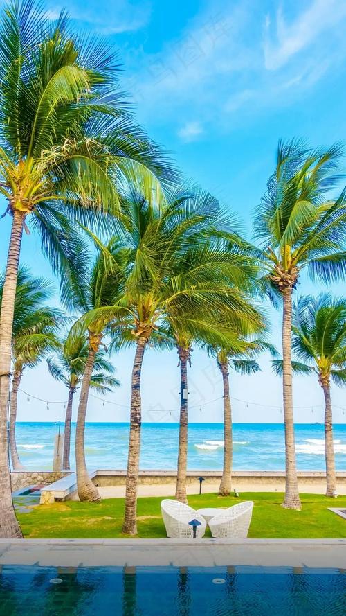 长在海边的椰子树，吸收的是咸的海水，长得椰子为何又是甜的？为什么椰子很甜呢