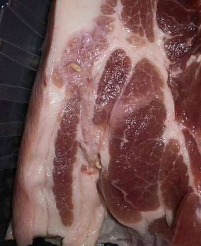 煮熟的猪肉有种怪味是怎么回事？肉为什么香呢-图2