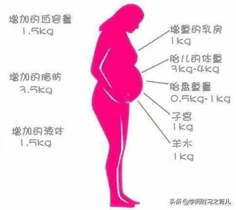 从怀孕初期到生孕妈妈长胖多少斤是正常的呢？早孕为什么胖呢