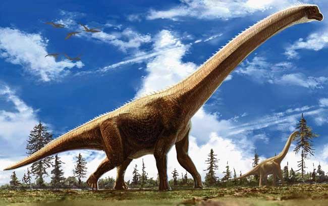 恐龙为什么能长那么大？恐龙为什么很高呢-图1