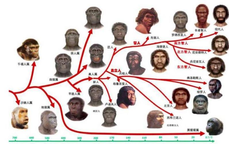 人类最早起源于哪里？为什么总有人说我们的祖先是从非洲来的？为什么怎么开始呢