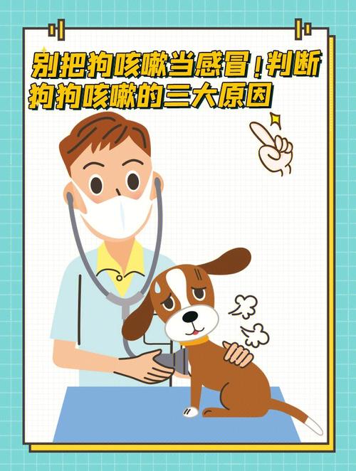 狗狗咳嗽肚子抽动是怎么回事？肠炎为什么咳嗽呢