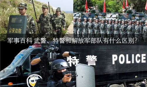 怎么区别中国的特警、武警、军警、警察和督察？为什么说自己是警察呢呢-图1