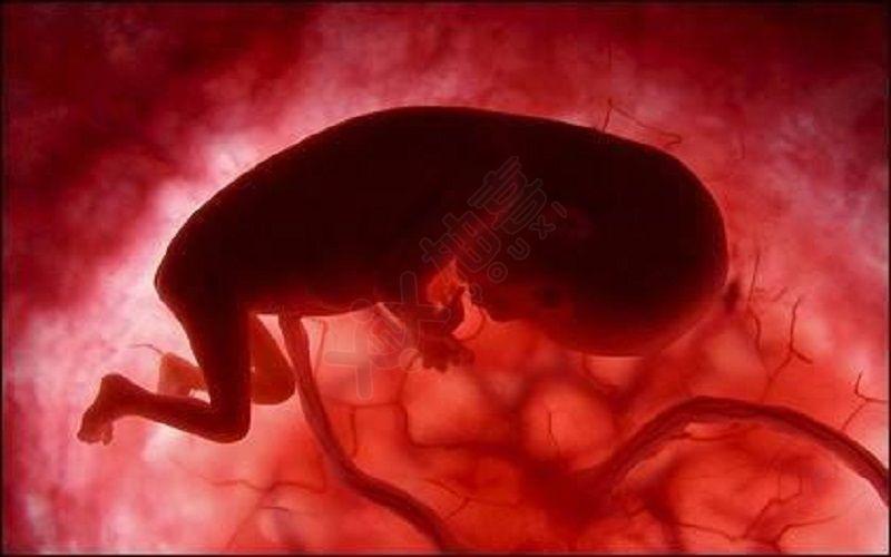 胎儿为什么会偏小？怀孕胎盘为什么会小呢呢