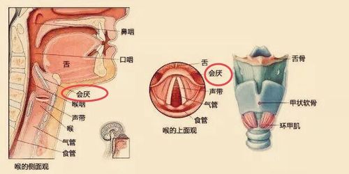 喉咙痛会左右变位置吗？为什么我喉咙痛呢呢-图1