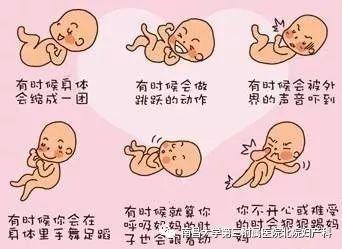 孕晚期胎动在左边正常吗？为什么胎动在左边多呢呢-图2