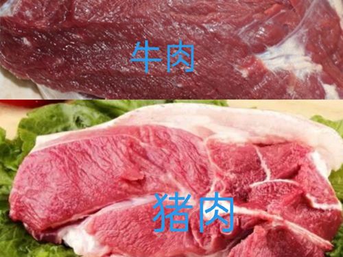 为什么熟牛肉比生的还便宜？为什么牛肉比猪肉贵呢呢
