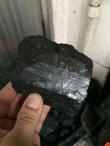 如何辨别蒙煤好坏？煤块为什么叫蒙古块呢呢