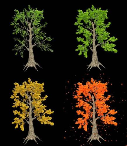 为什么树木在春夏生长很快,而冬天却长得很慢,甚至停止生长？冬天为什么比秋天长呢呢