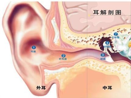 耳疼是什么原因引起的？为什么我耳朵那么疼呢呢-图3
