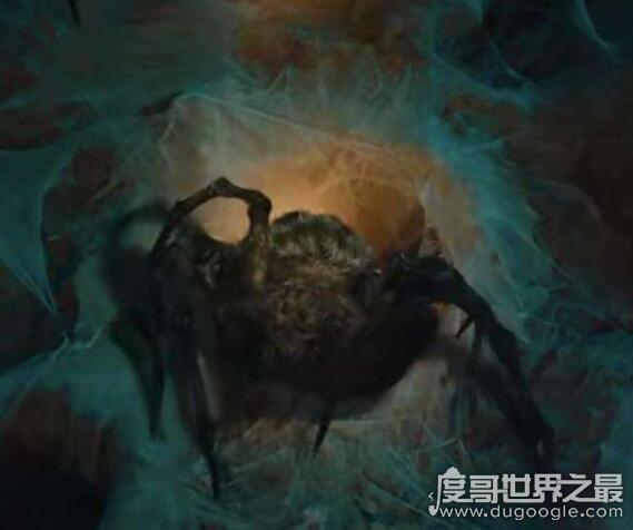有一部香港恐怖片，内容是人脸加蜘蛛身的，有知道的么？为什么蜘蛛长着人脸呢