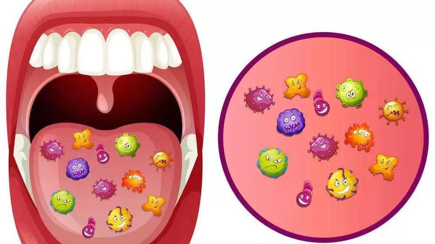人的口水有多少细菌？为什么唾液有细菌呢