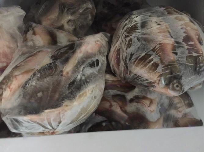 冰箱里冻的鱼肉过多长时间就不能吃了？为什么吃鱼身上发黑呢