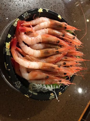 为什么刺身虾只能吃海虾？日本为什么要吃大虾呢