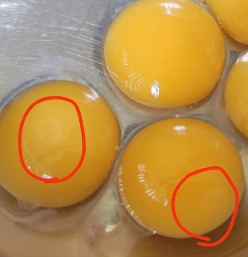 鸡蛋里面有个小白点，是什么啊？蛋黄为什么会有白点呢