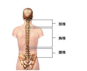 背部中间脊椎两侧疼痛的原因是什么怎么办？为什么腰椎中间痛呢