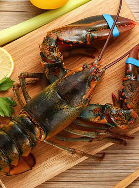 为什么波士顿龙虾菜市场和淘宝相差很大？海鲜价格为什么不同呢