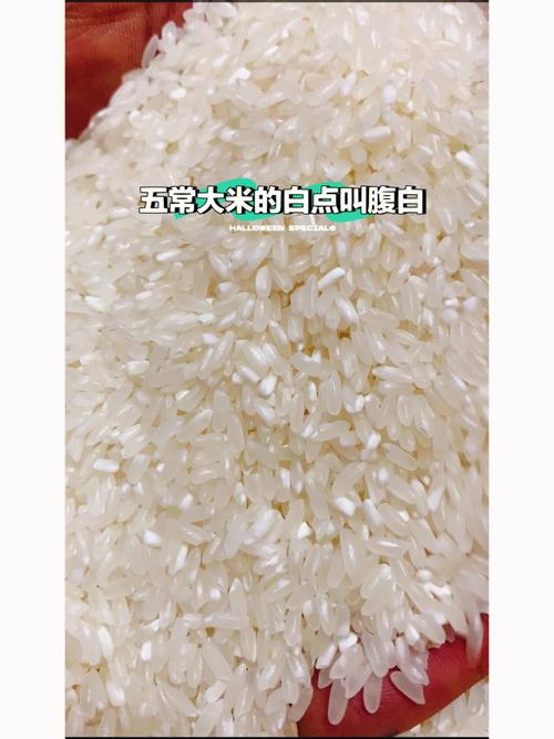 米饭一粒一粒的不粘是什么米？为什么稻谷没有米粒呢-图3