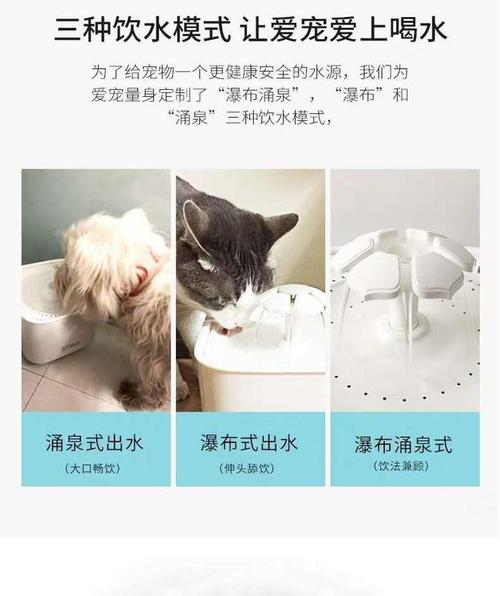 猫喝水器原理？公猫为什么要喷水呢