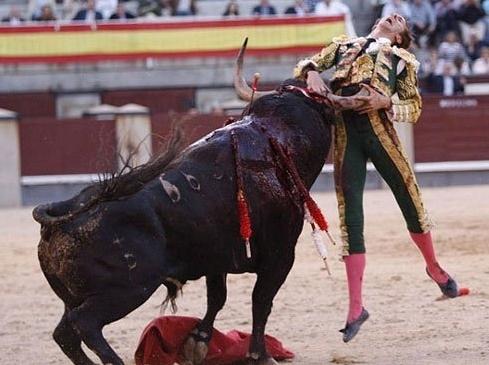 西班牙斗牛这么残忍的运动为何不取消？斗牛为什么很残忍呢