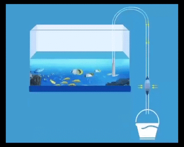 鱼缸过滤器水流变小怎么回事？吸管为什么会变小呢-图3