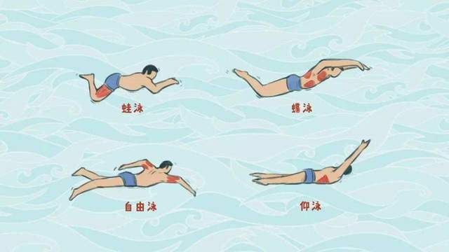 游泳心跳160次有危险吗？为什么游泳心跳快呢