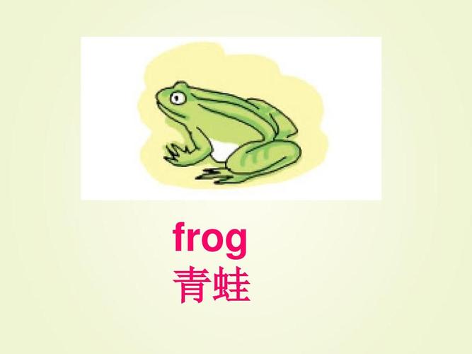 青蛙的单词？为什么青蛙不叫呢英语