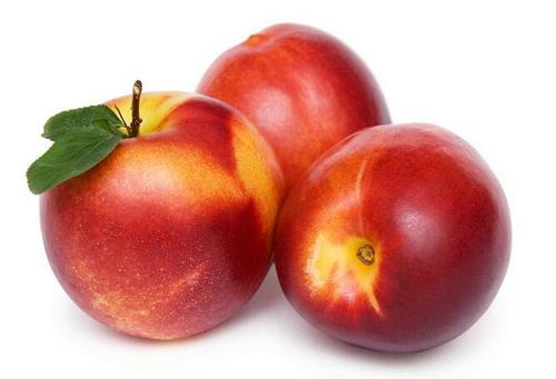 早油桃为什么不能多放唑㇏淦干？为什么春天油桃很贵呢-图2
