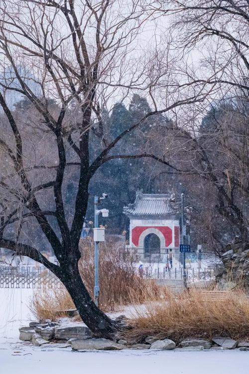 北京下雪是人工催雪吗？北京为什么下雪快呢-图1