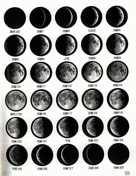 观察月亮一天天是怎么从月牙变成圆盘的又从圆盘变成月牙的？月亮为什么会有圆盘呢-图3