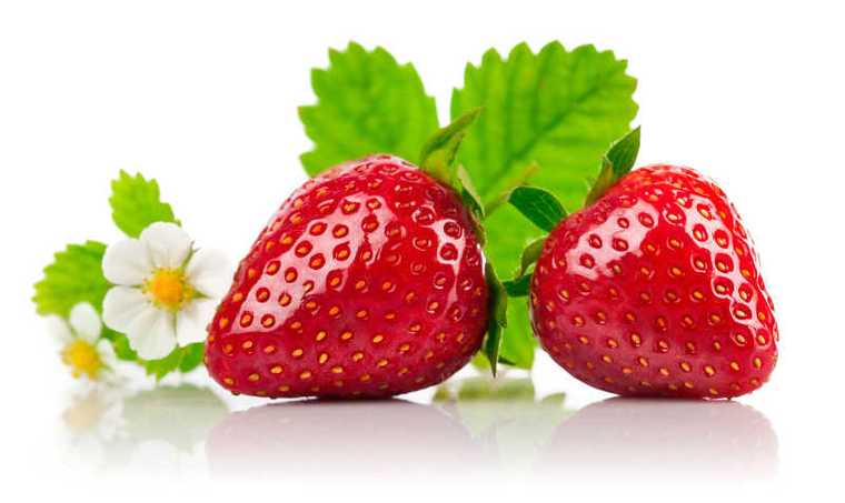 草莓的特点是什么？草莓为什么颜色鲜艳呢